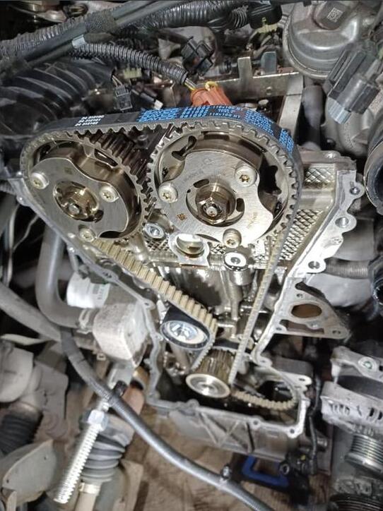 The new blue-marked timing belt fitted around both camshaft sprockets and the lower gear, with the white timing marks on the belt lined up against the sprocket marks.